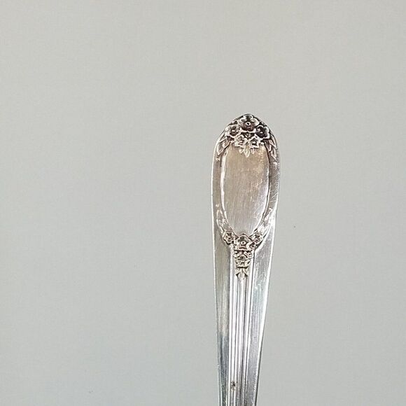 Rogers & Bro 1937 RAPTURE GARLAND Pattern Soup Spoon Reinforced Plate IS - Picture 2 of 7